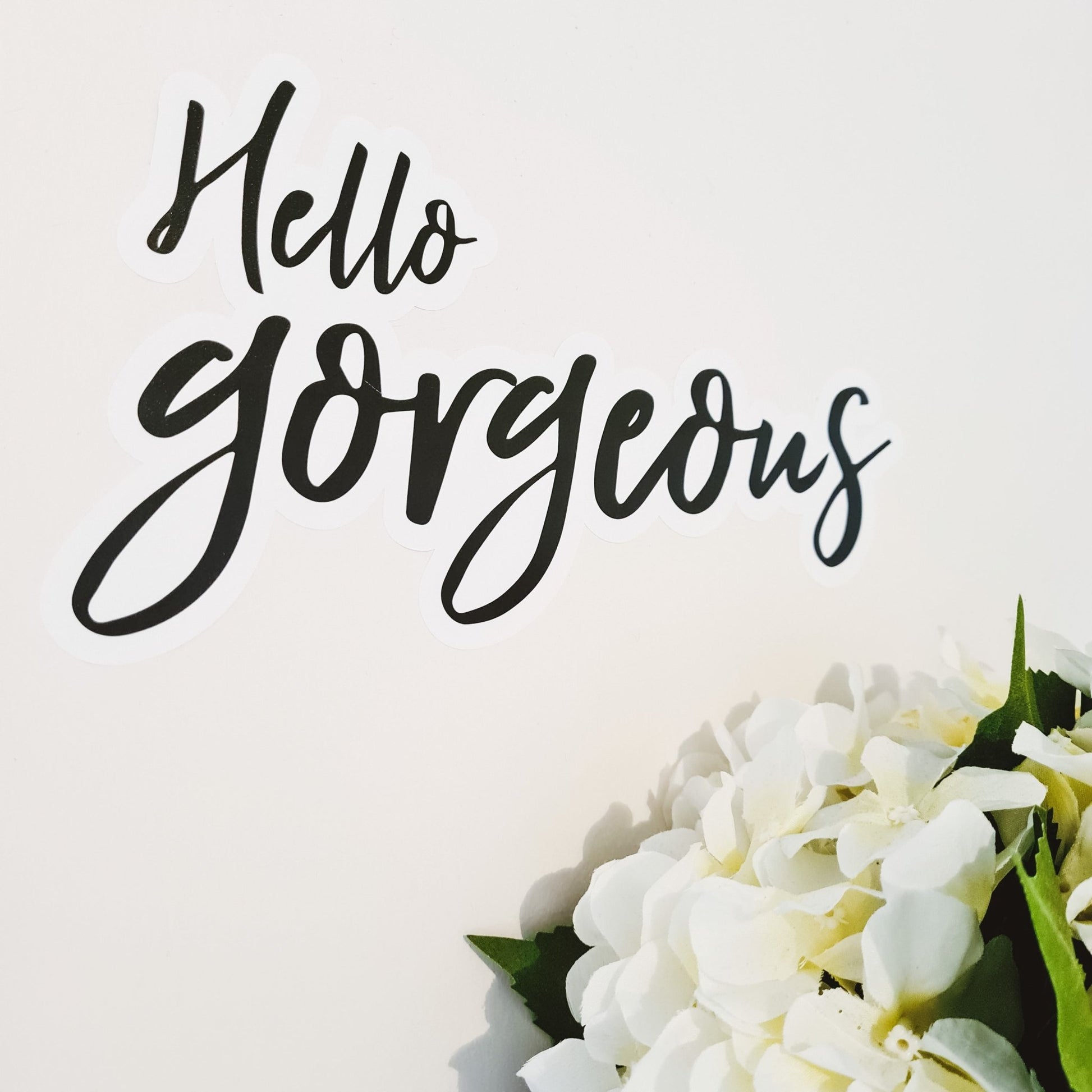 Hey Gorgeous • Wall Decal - Rae and Jayde -